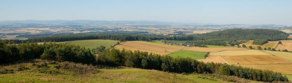 The rolling hills of Angus