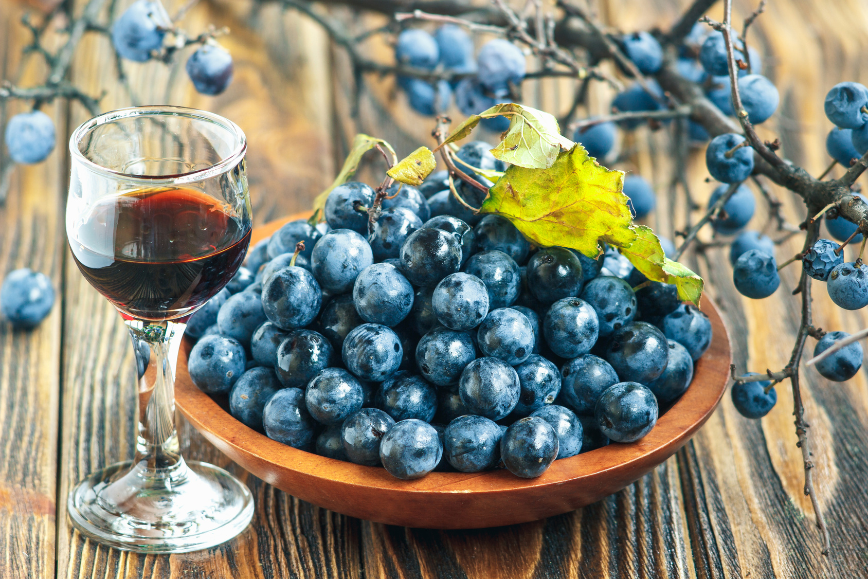 Sloe Gin Why You Should Be Drinking It and Making It The Whisky 