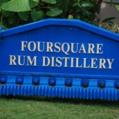Foursquare Rum Distillery